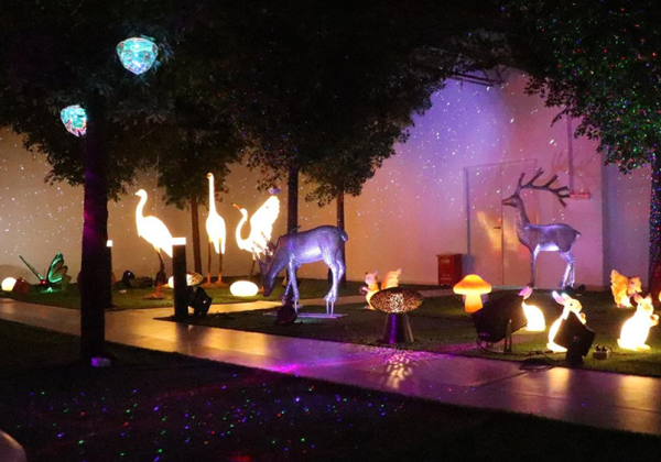 交互艺术光雕